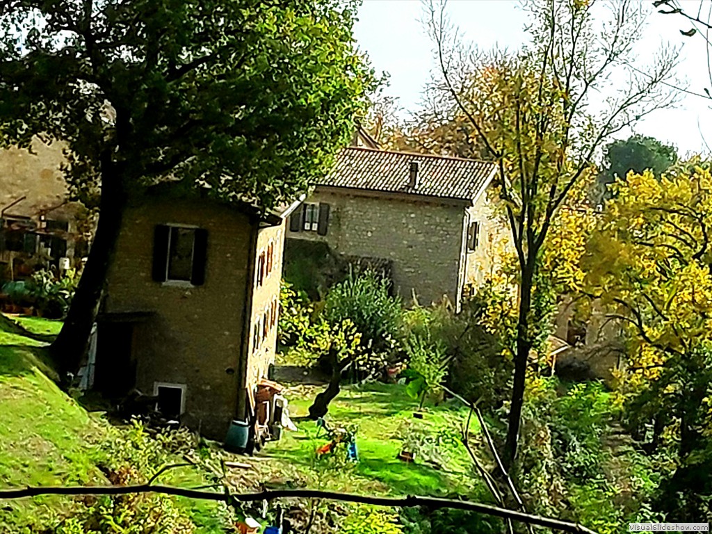 IMG_20191120_115032
