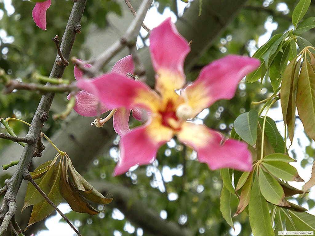 P1100035