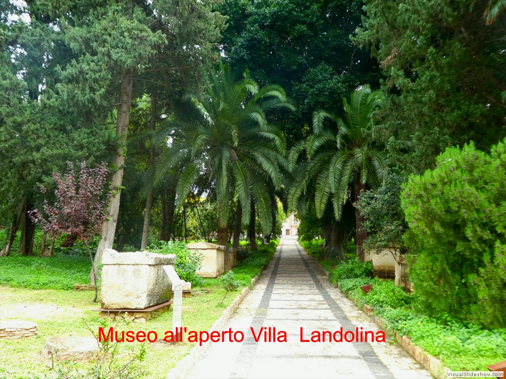 P1100039