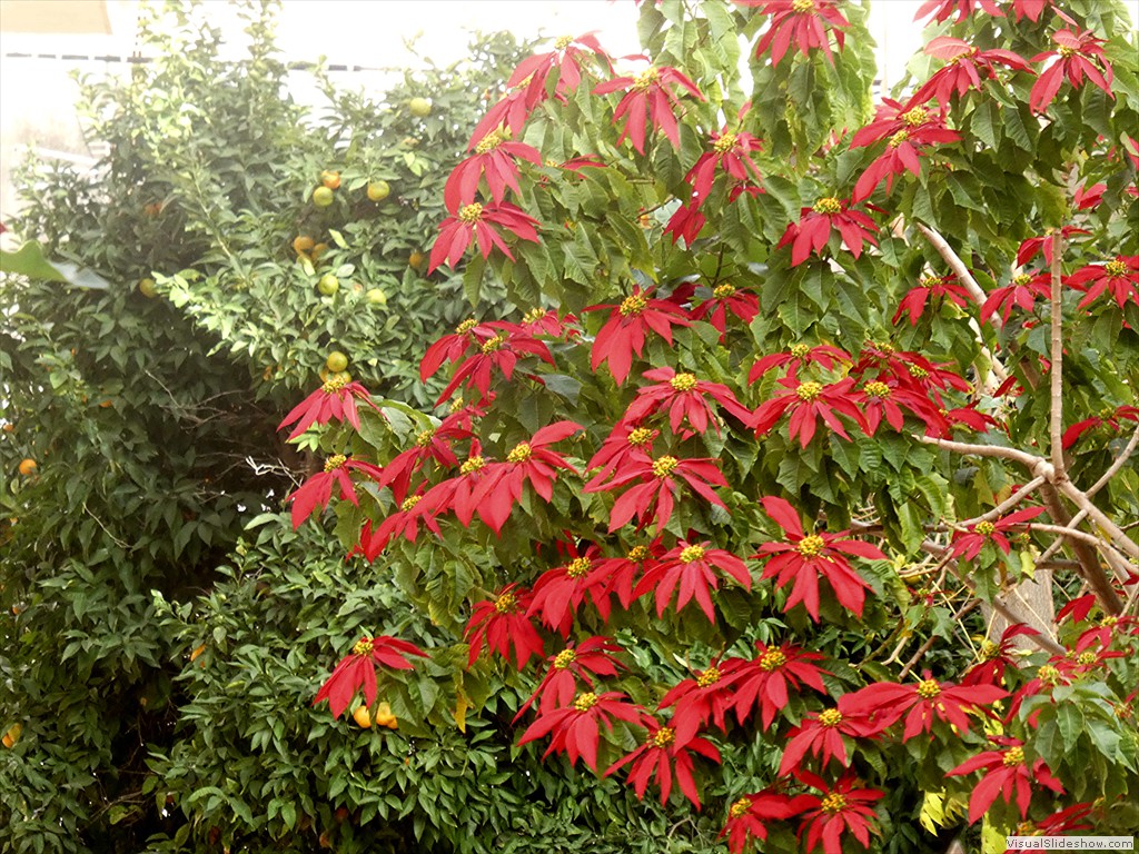 P1100083