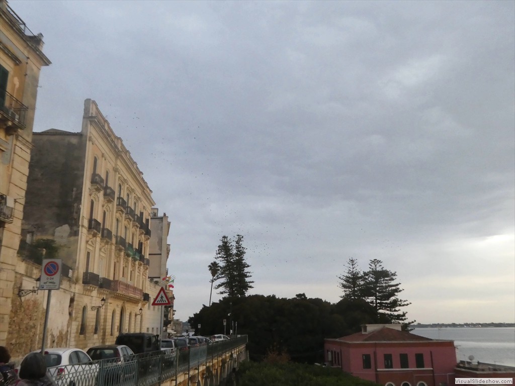 P1100129