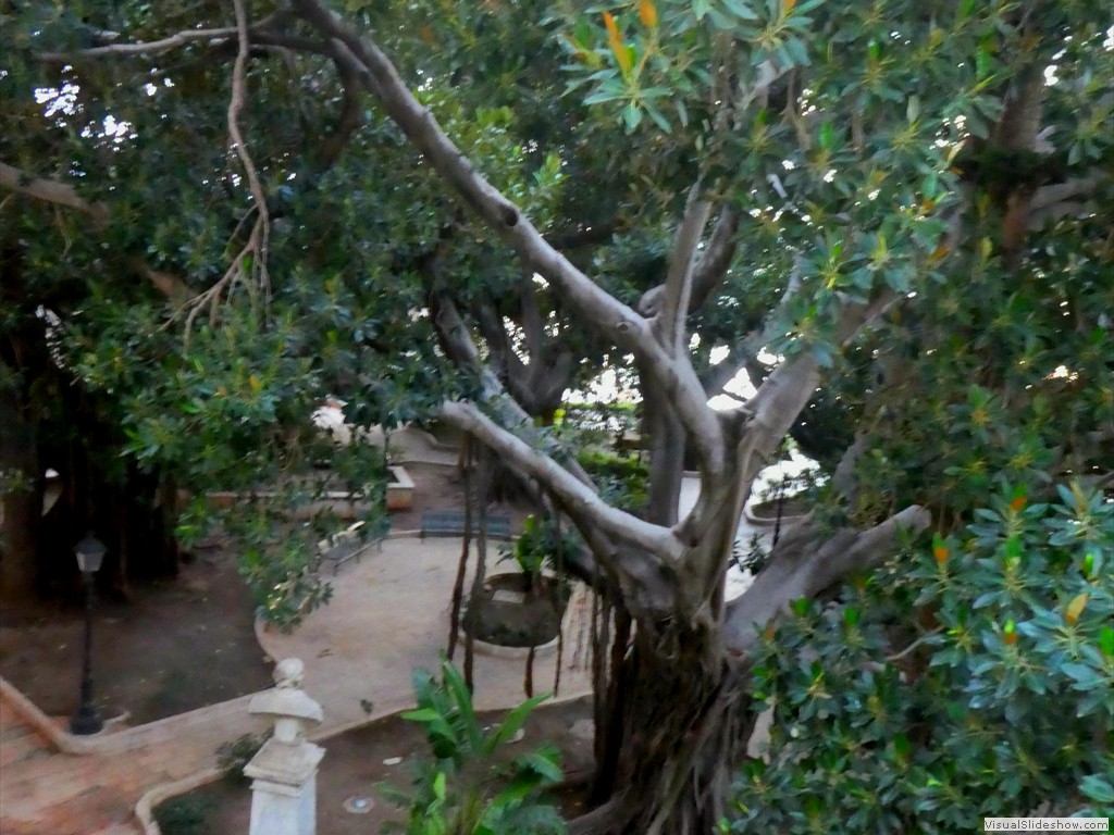 P1100131