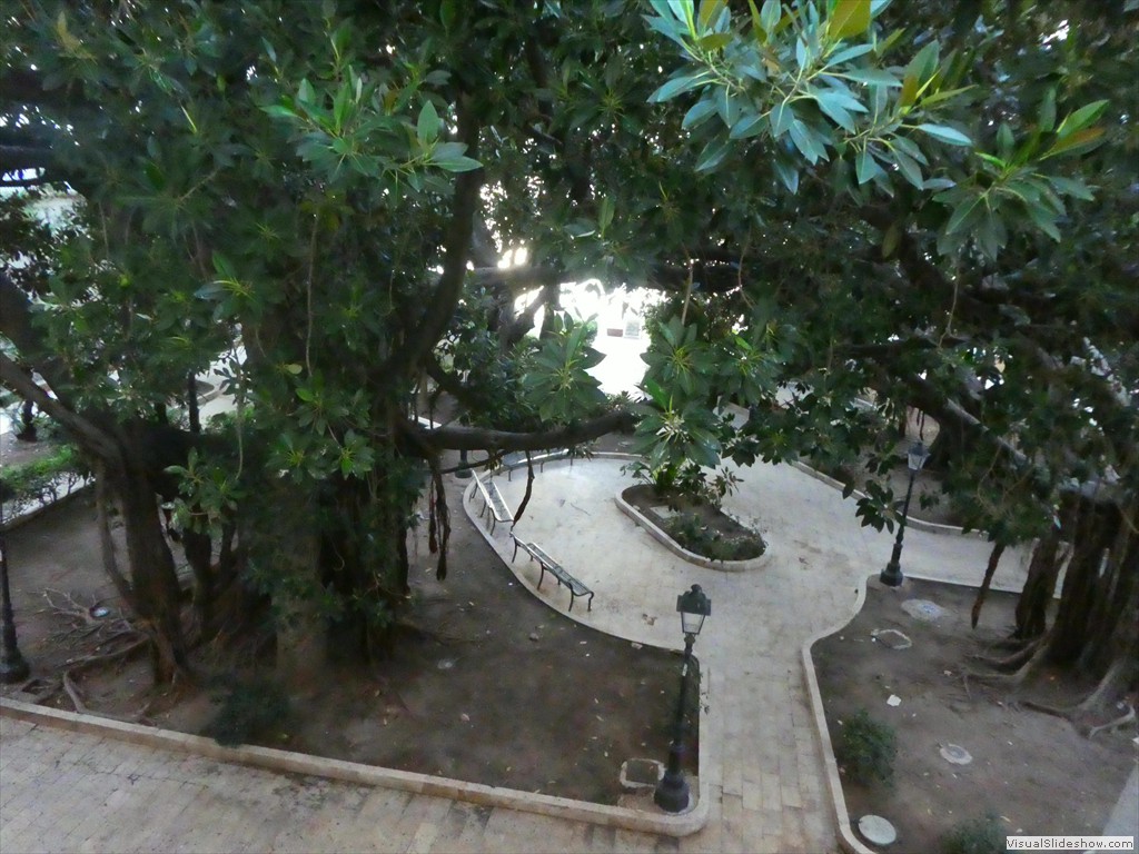 P1100134