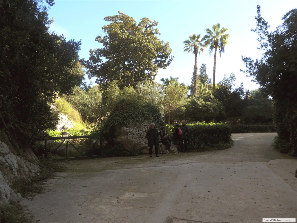 P1100208