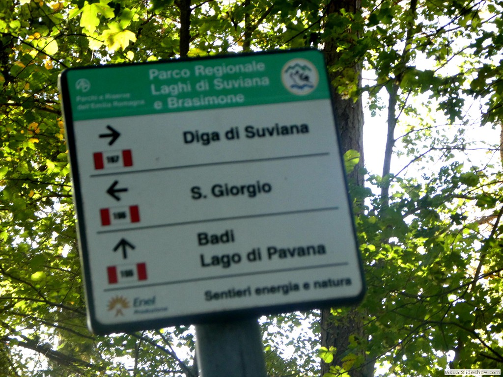 P1030654
