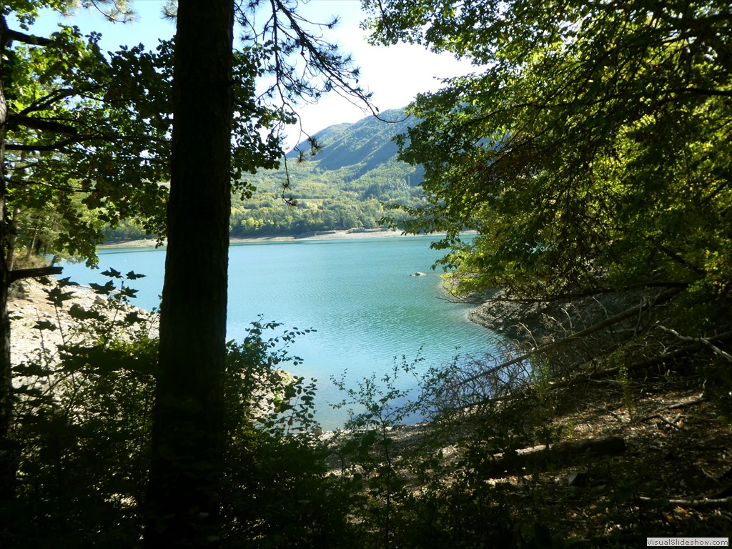 P1030655