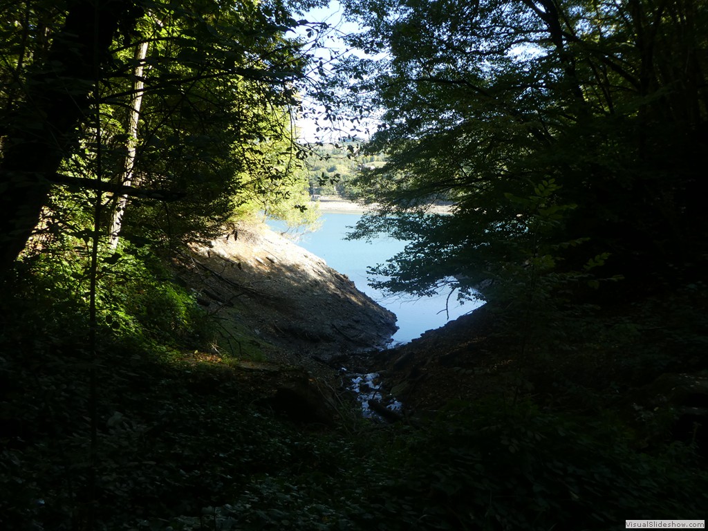 P1030668
