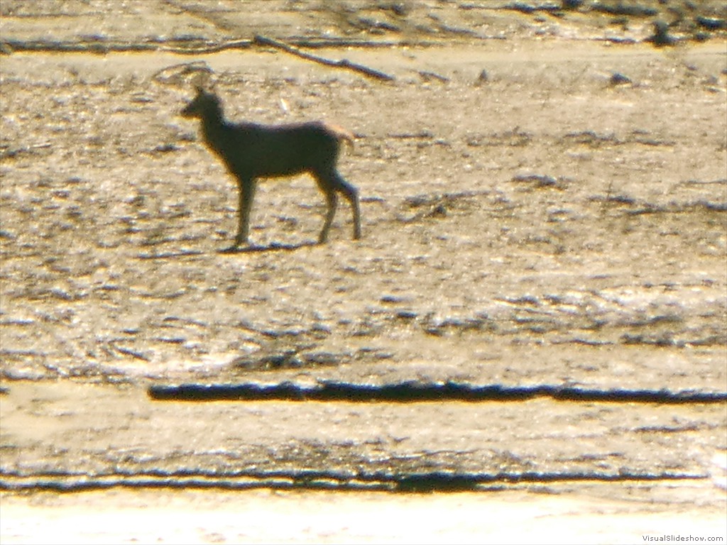 P1030674