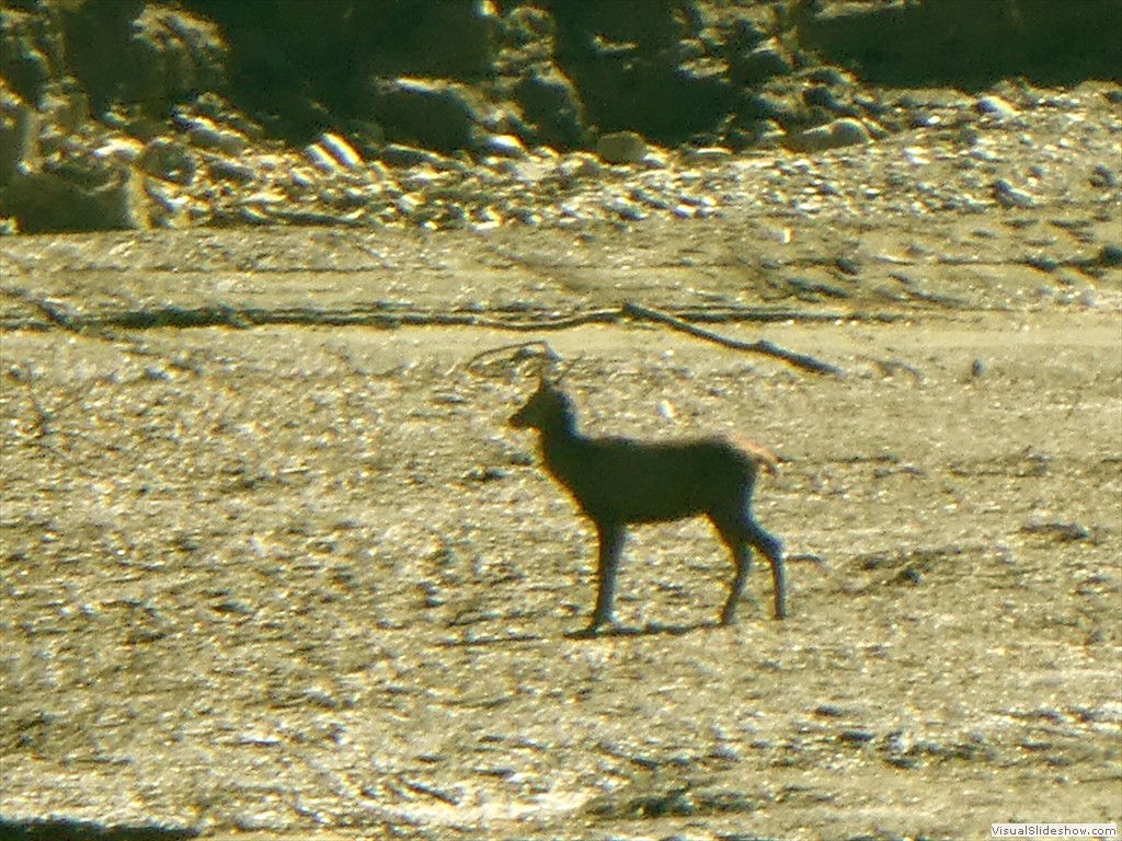 P1030675