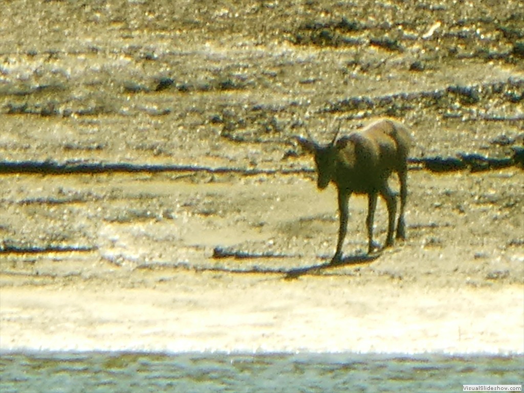 P1030678