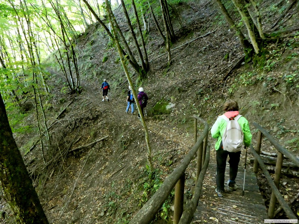 P1030679