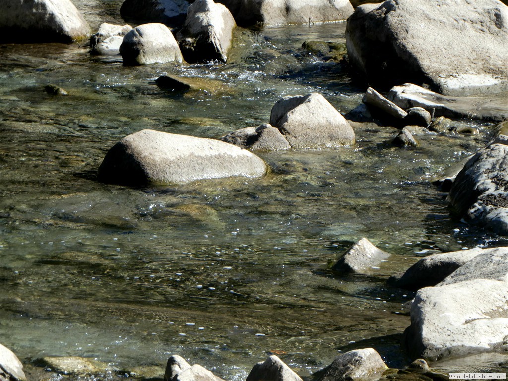 P1030689