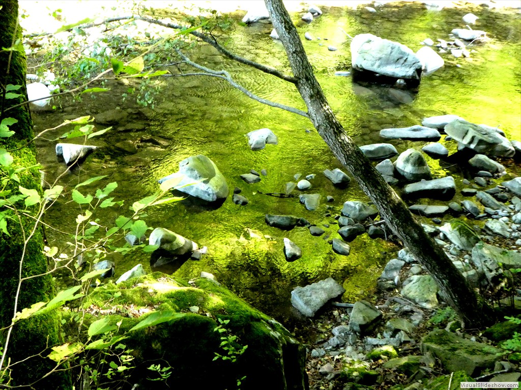 P1030698