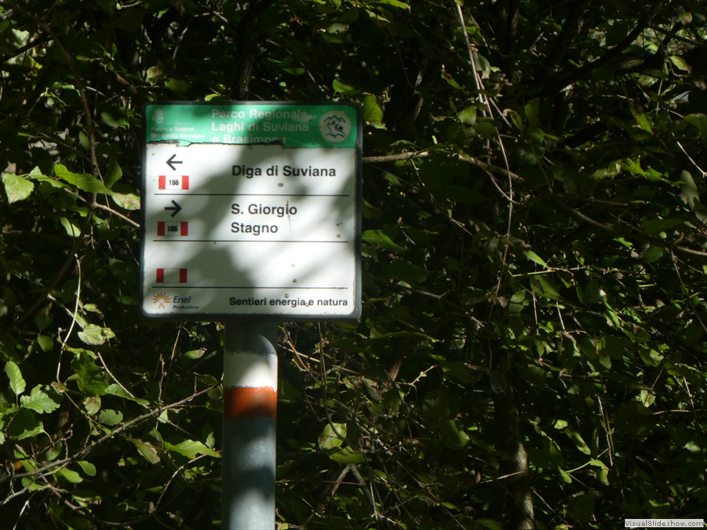 P1030706