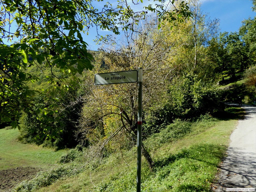 P1030715