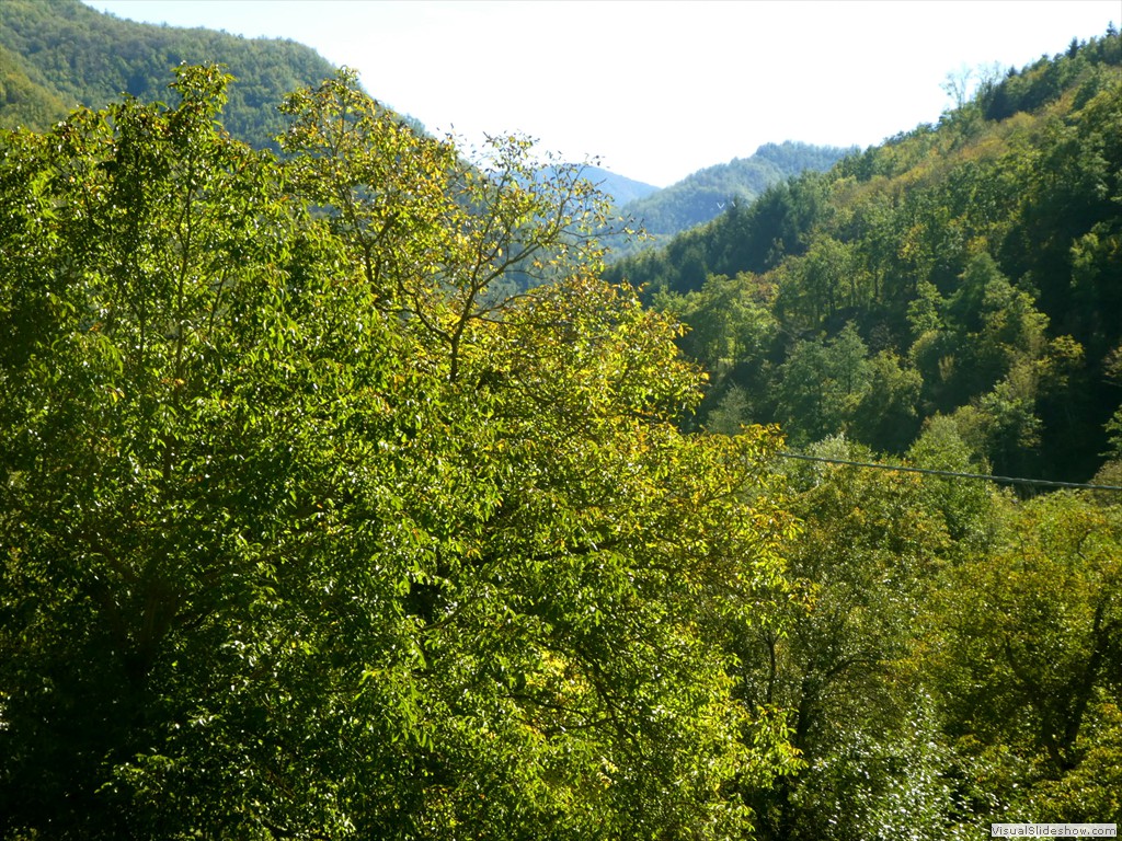 P1030718