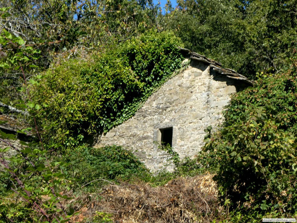 P1030723