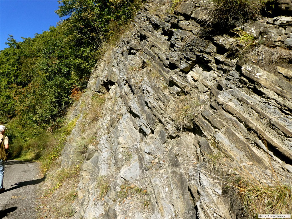 P1030728