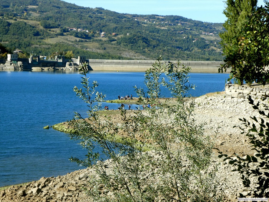 P1030741