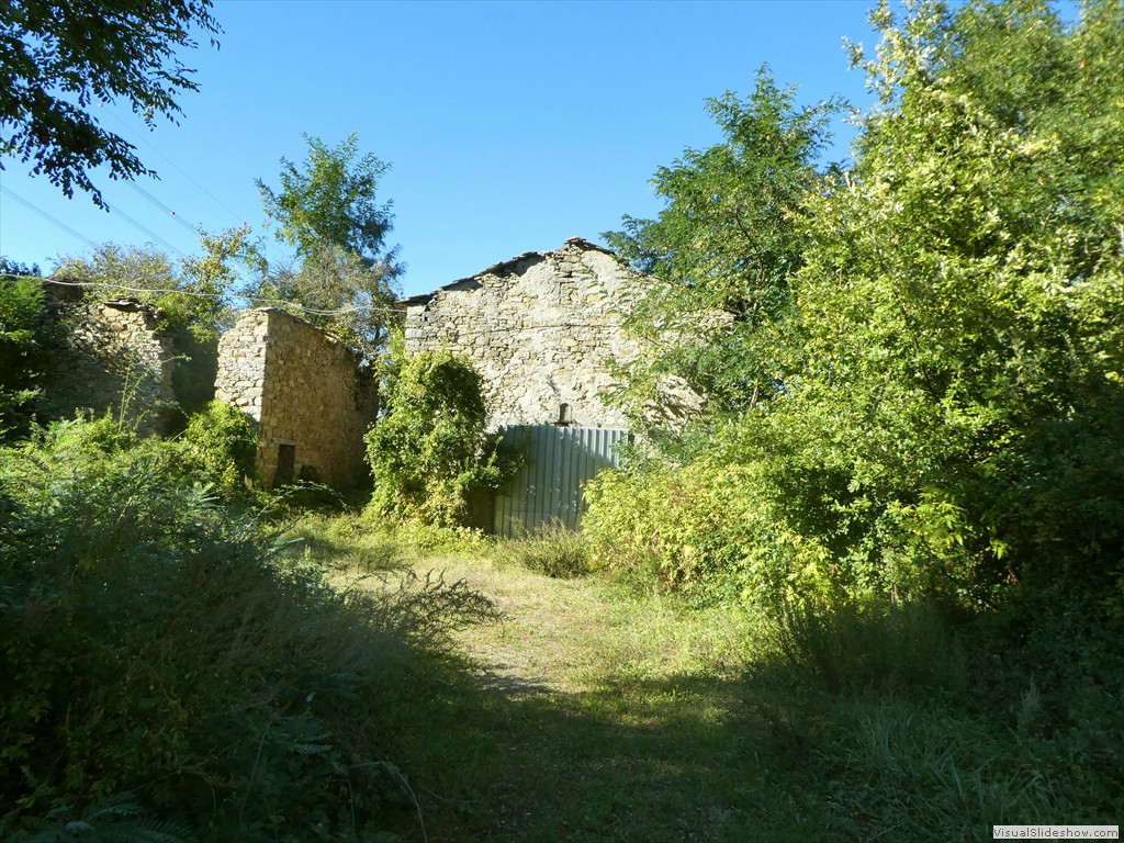 P1030743