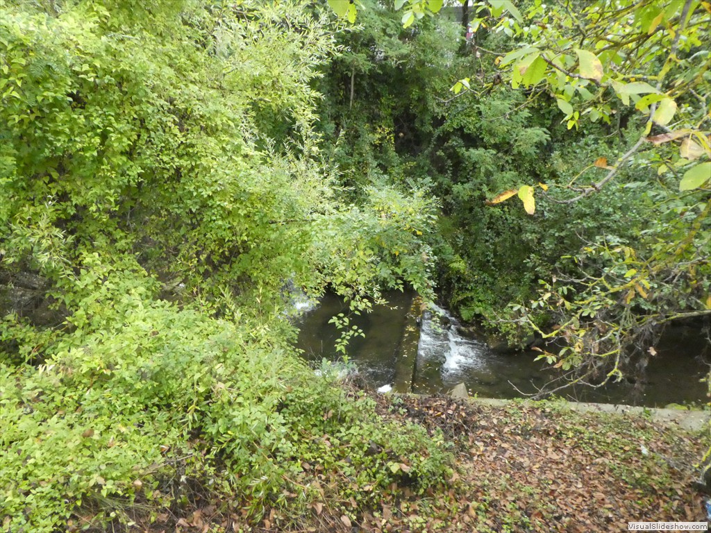P1040030