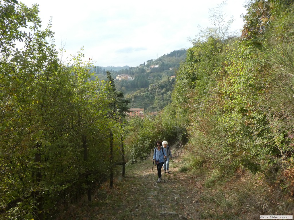P1040040