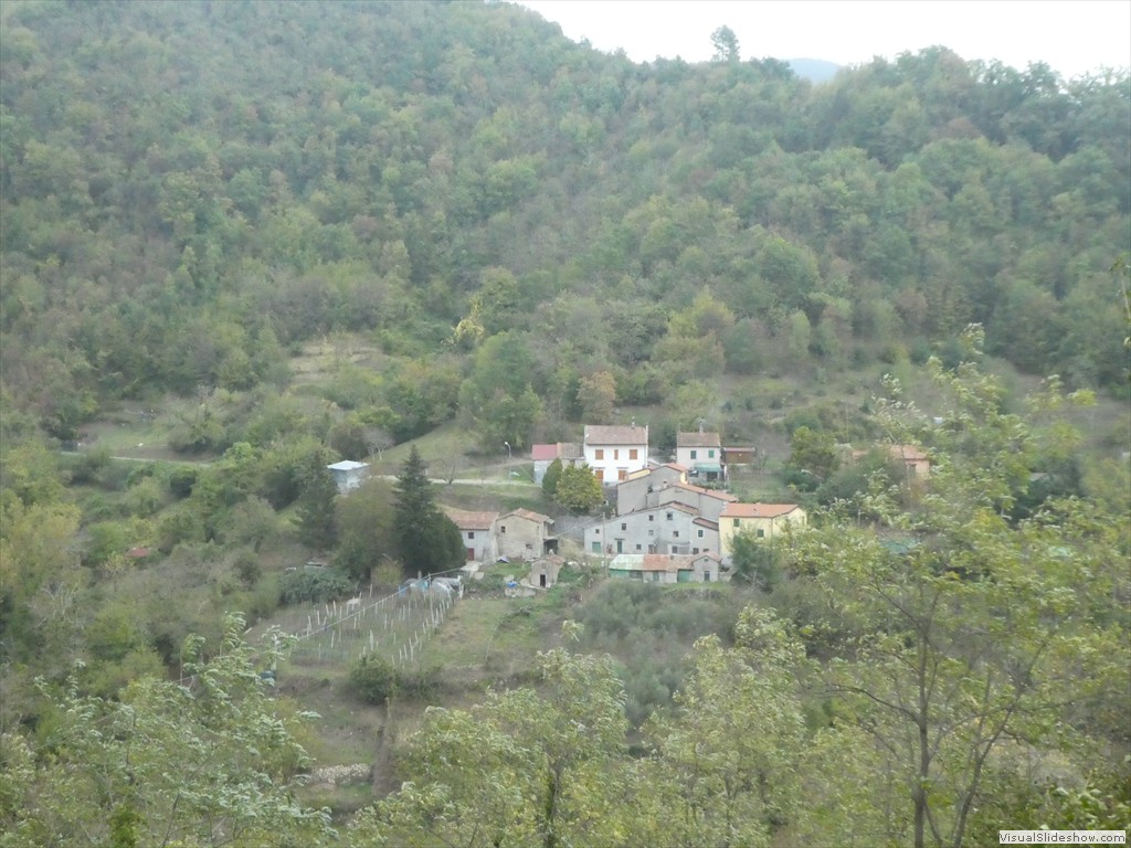 P1040052