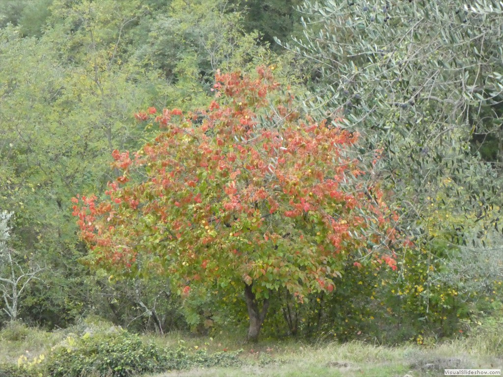 P1040058