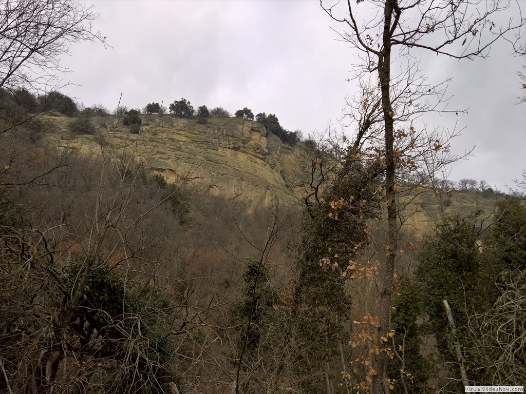 WP_20180131_14_21_37_Pro