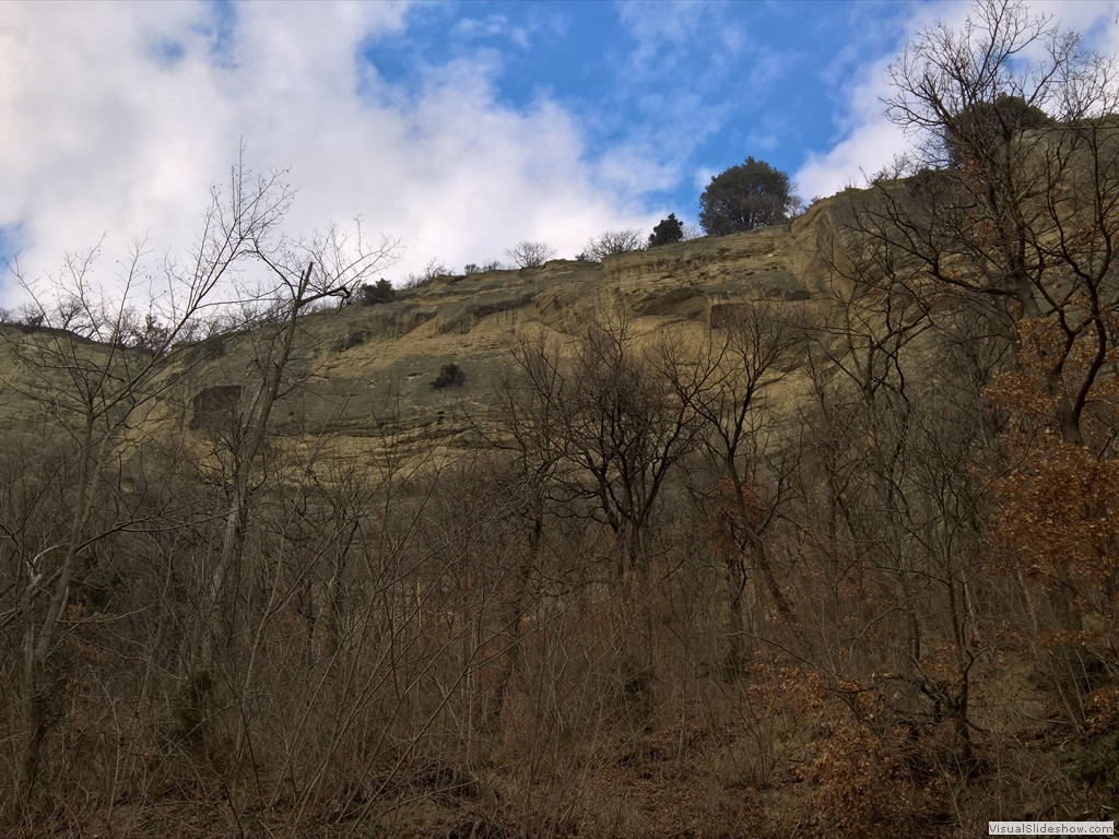 WP_20180131_14_27_21_Pro