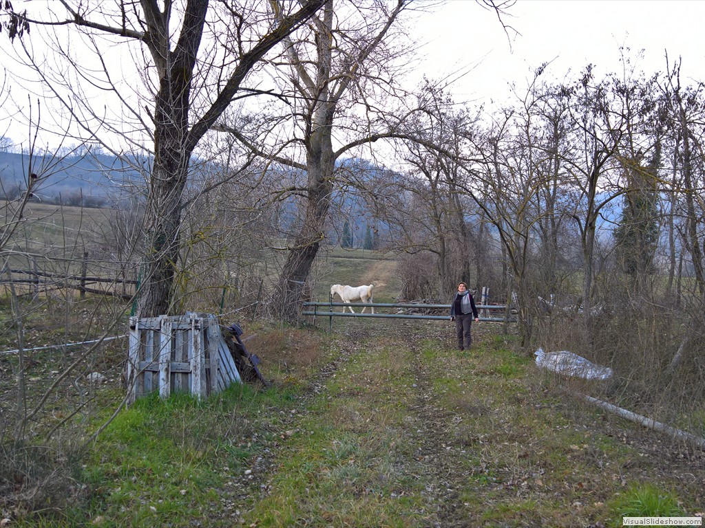 WP_20180131_15_15_07_Pro