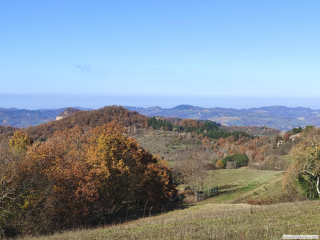 IMG_20211124_114157