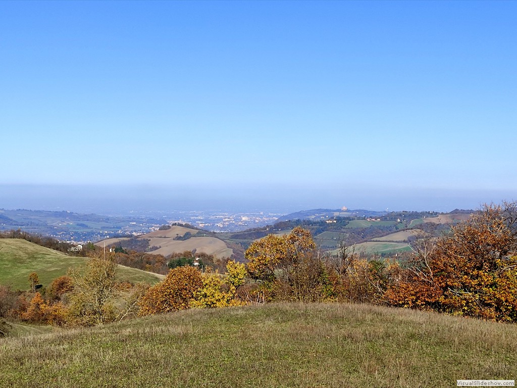 IMG_20211124_114159