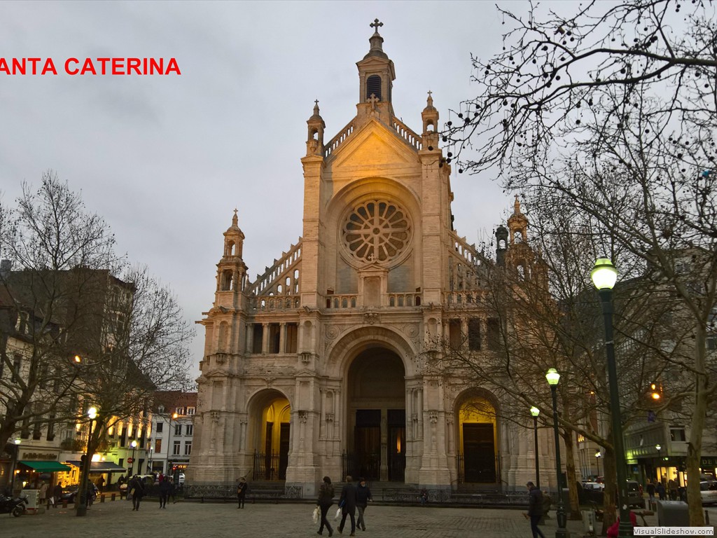 WP_20190205_17_41_57_Pro