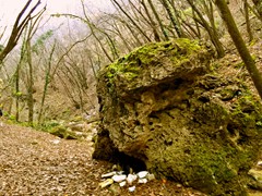 WP_20181205_10_59_27_Pro