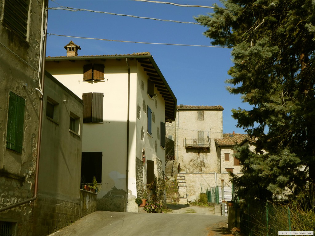 P1000365