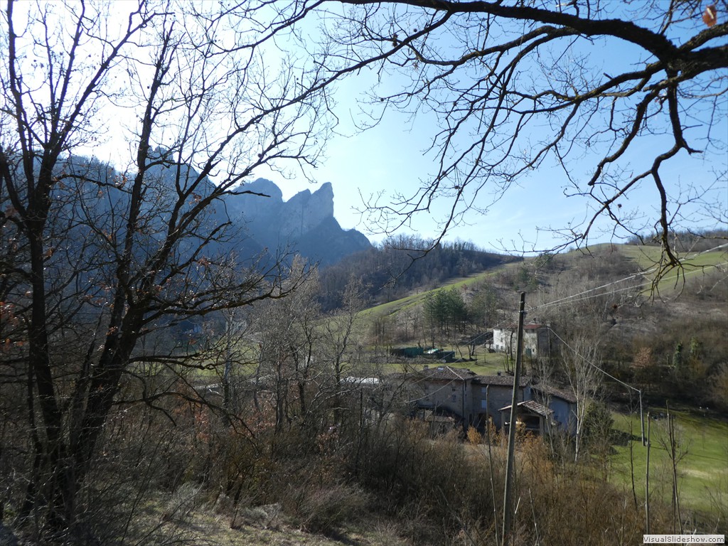 P1000373