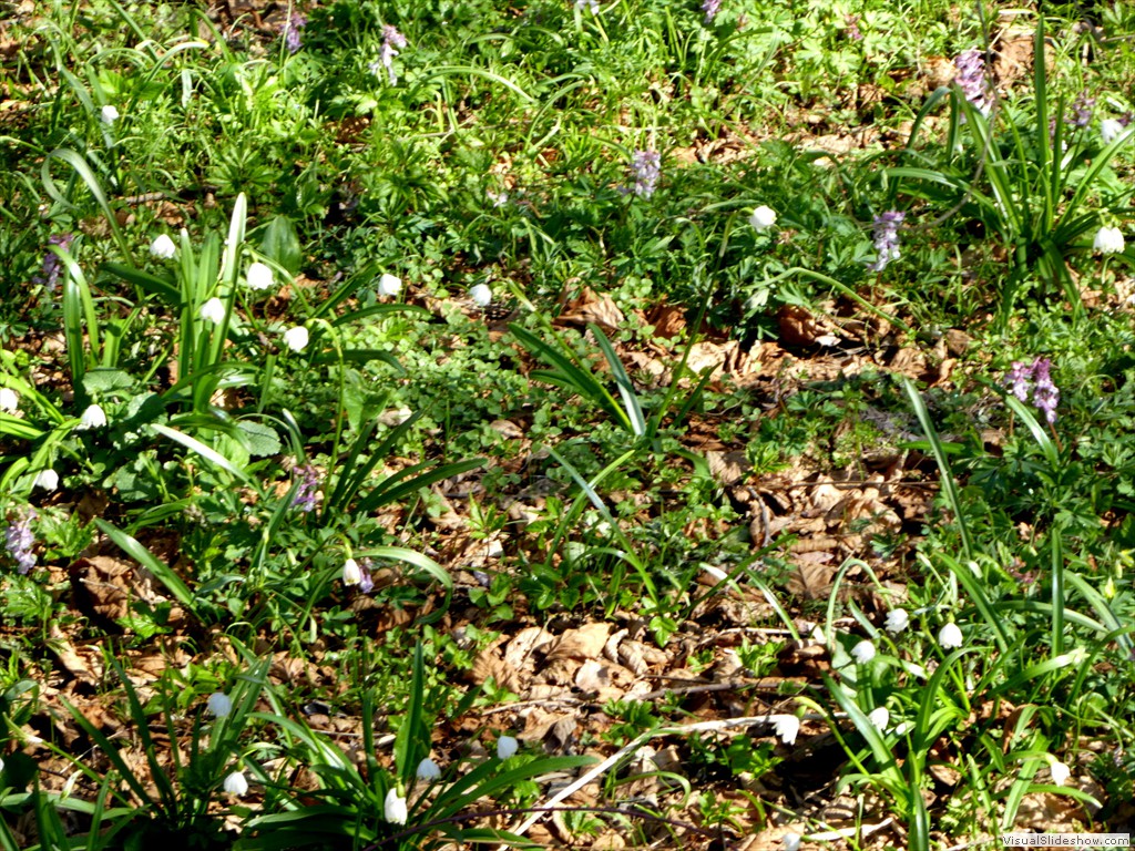 P1000377