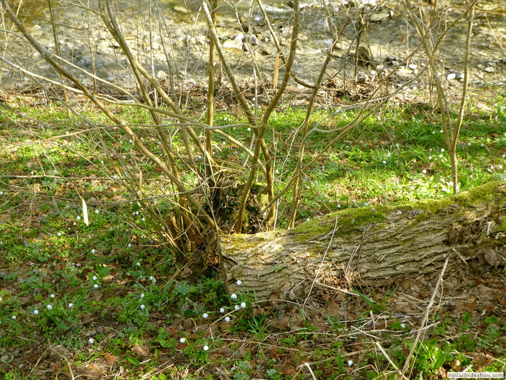 P1000379