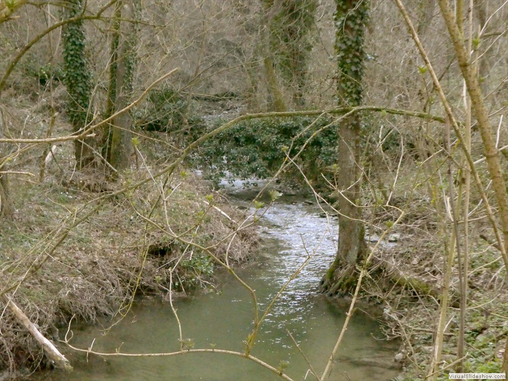 P1000381
