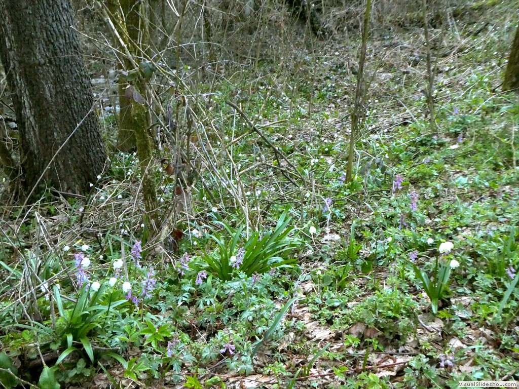 P1000382