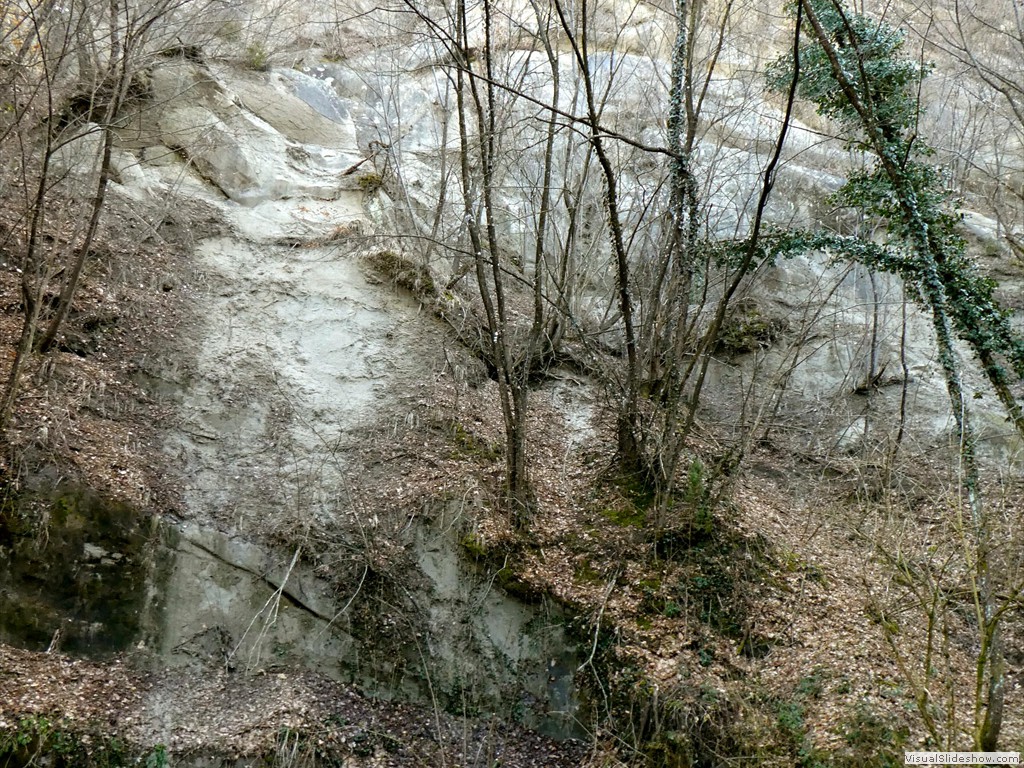 P1000385