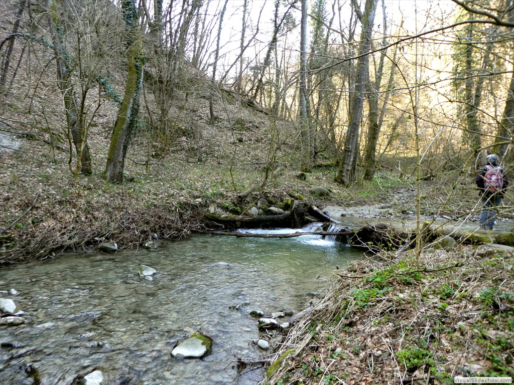 P1000386