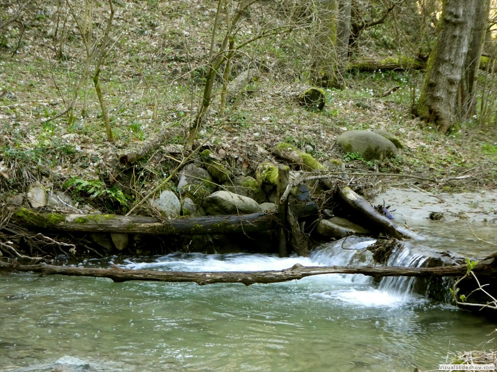 P1000387
