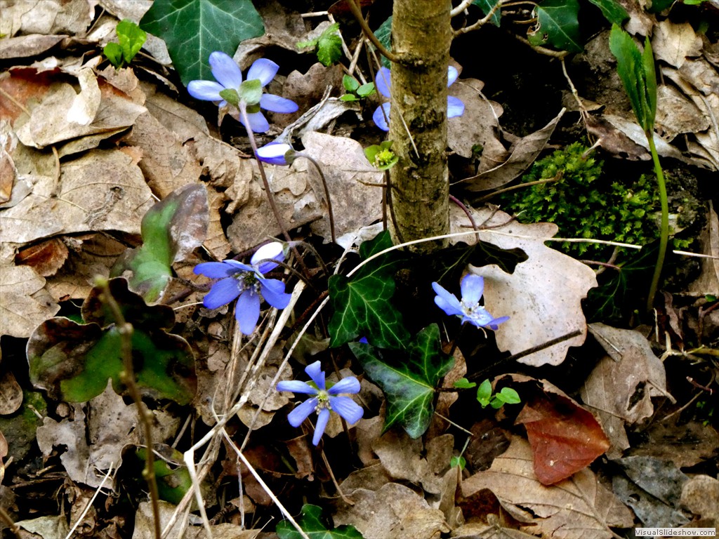 P1000391