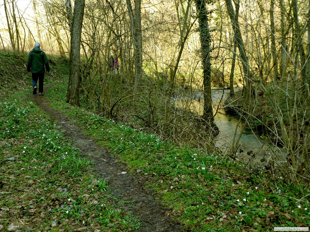P1000395