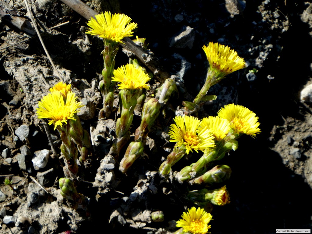 P1000397