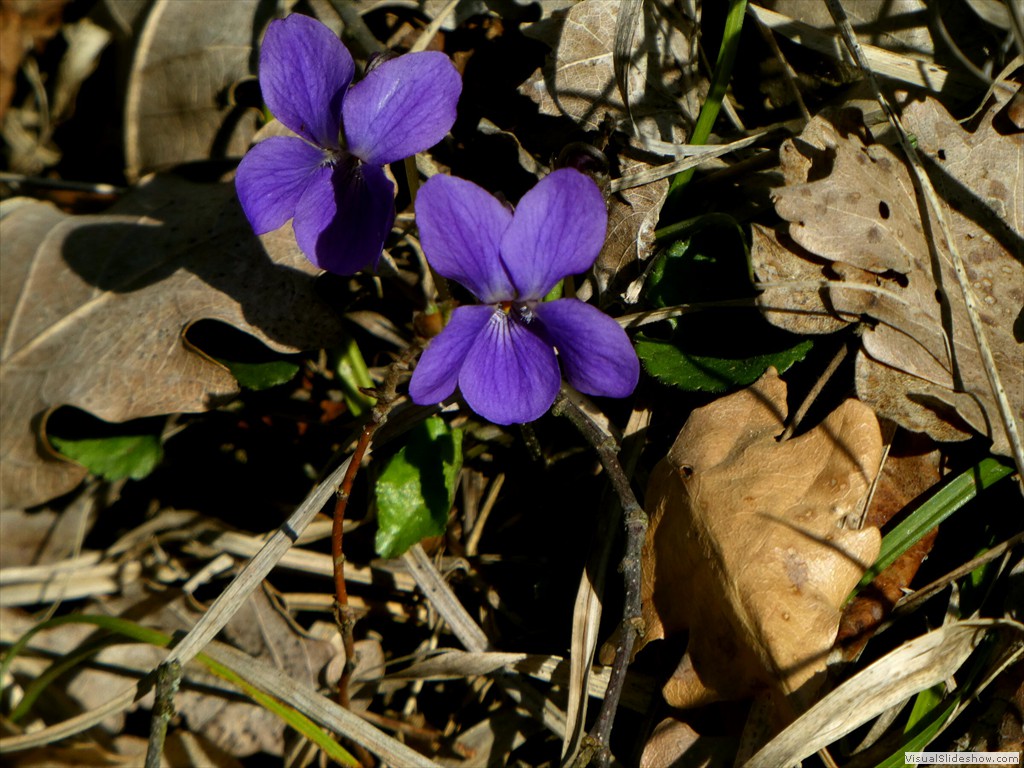 P1000402