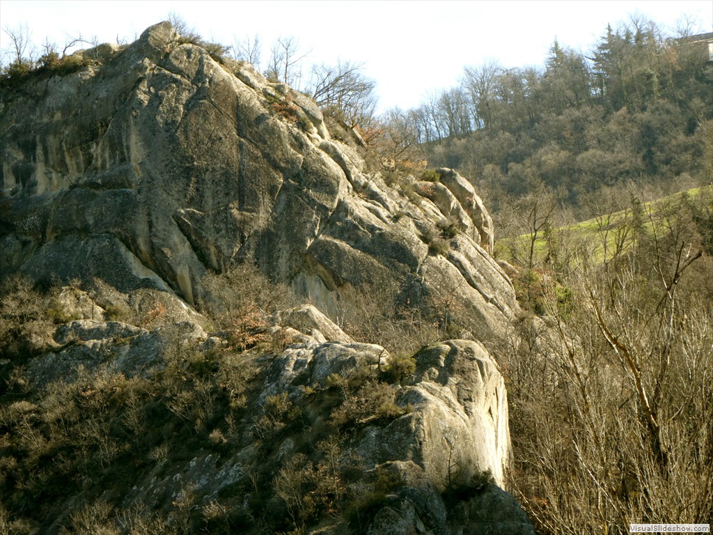 P1000406