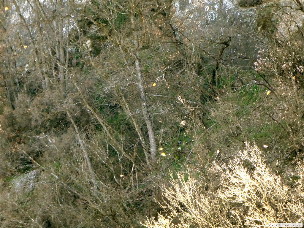 P1000407